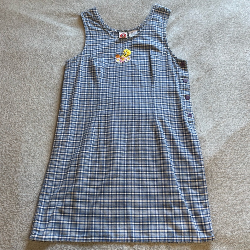 Warner Bros. Looney Tunes Blue and White Plaid Dress Tweety Bird Women’s Large